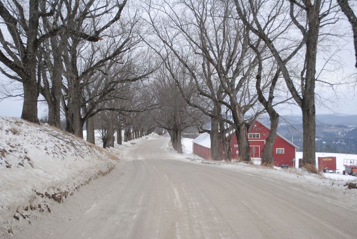 Darling Hill Road, Burke